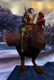 Magic Rooster Egg