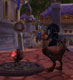 Magic Rooster Egg