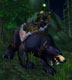 Big Battle Bear