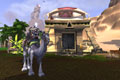 White Riding Camel