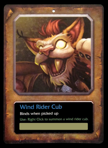 Wind Rider Cub
